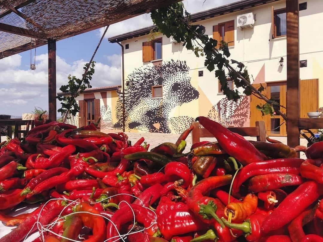 Agriturismo Il Riccio Monticchio  Zewnętrze zdjęcie