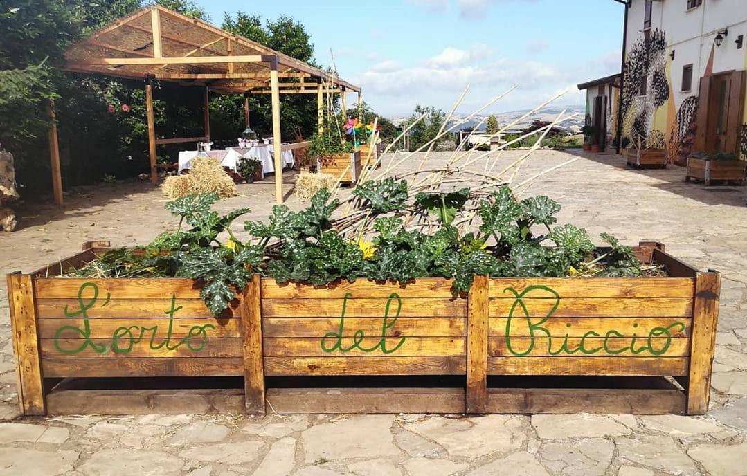 Agriturismo Il Riccio Monticchio  Zewnętrze zdjęcie