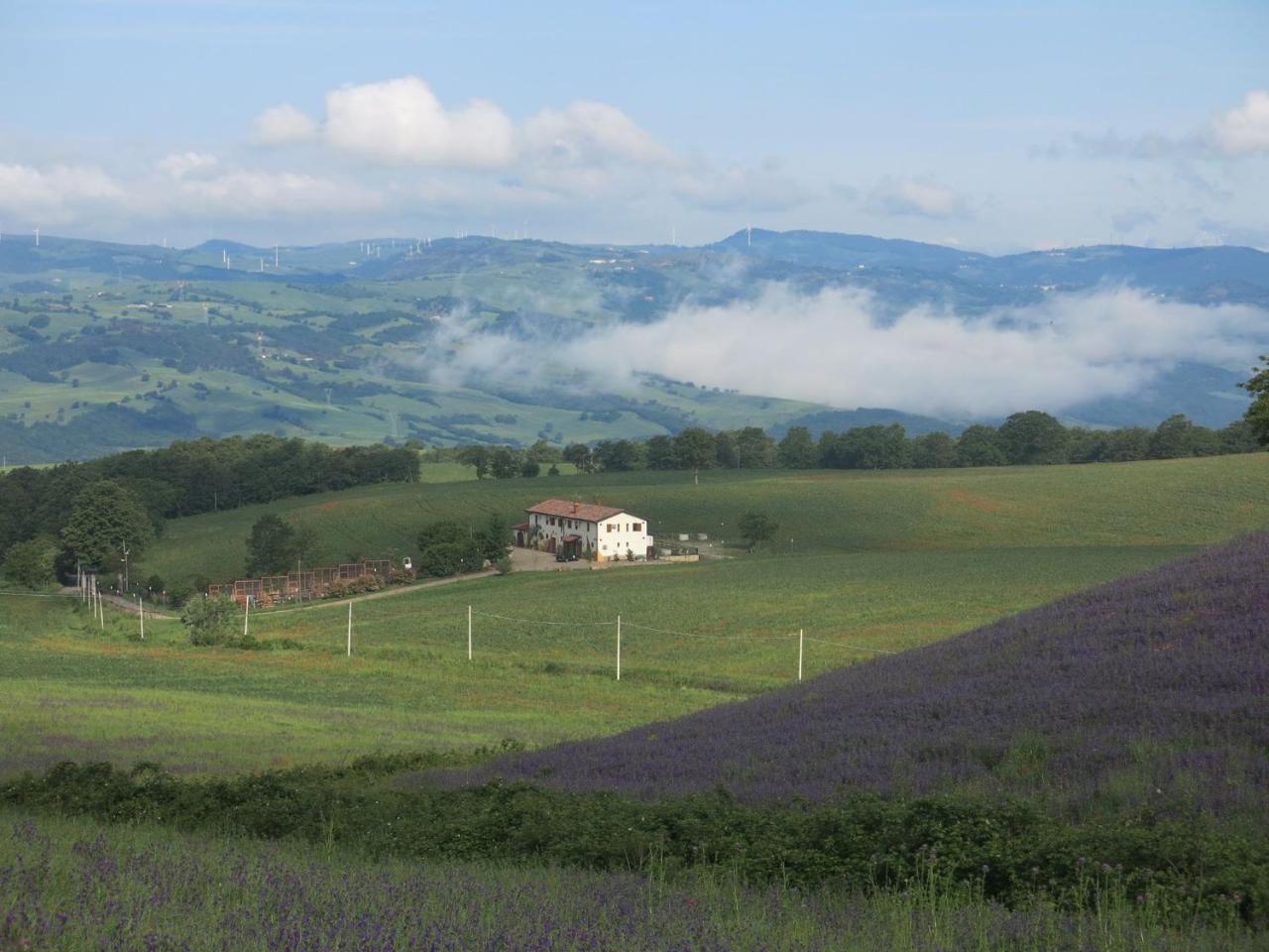 Agriturismo Il Riccio Monticchio  Zewnętrze zdjęcie