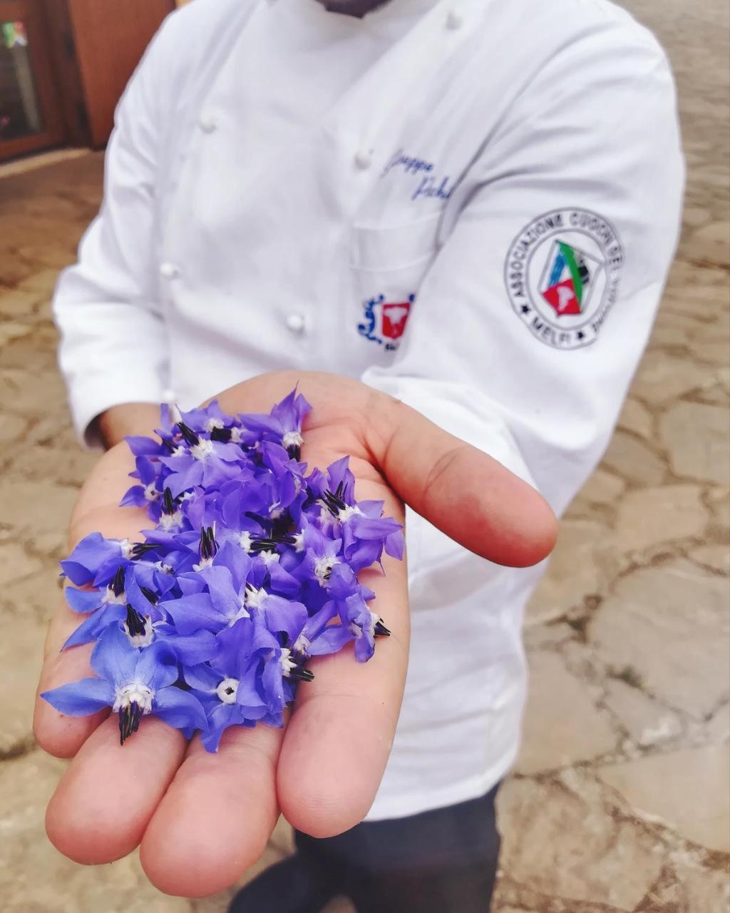Agriturismo Il Riccio Monticchio  Zewnętrze zdjęcie